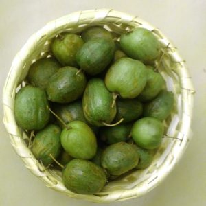 aktinidiya-arguta-plodyi
