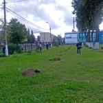 Аллея саженцев яблони у ДЦ Победа, Зарайск