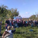 посадка саженцев яблони у Белого Колодца, Зарайск