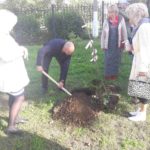 Посадка у зарайского ДЦ Победа: саженцы яблони. За лопатой Максим Елистратов.