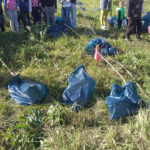 саженцы черешни, алычи и яблони посадка у Белого Колодца, Зарайск