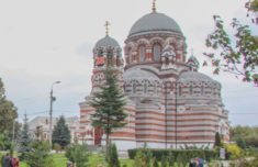 посадка саженцев яблони и других деревьев при закладке фруктового сада в Коломне